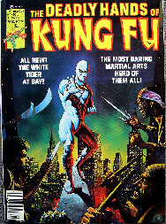the deadly hands of kung fu
